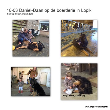 Daan is herplaatst, hij woont sinds februari 2016 in Lopik bij Christa en Nico op de boerderij